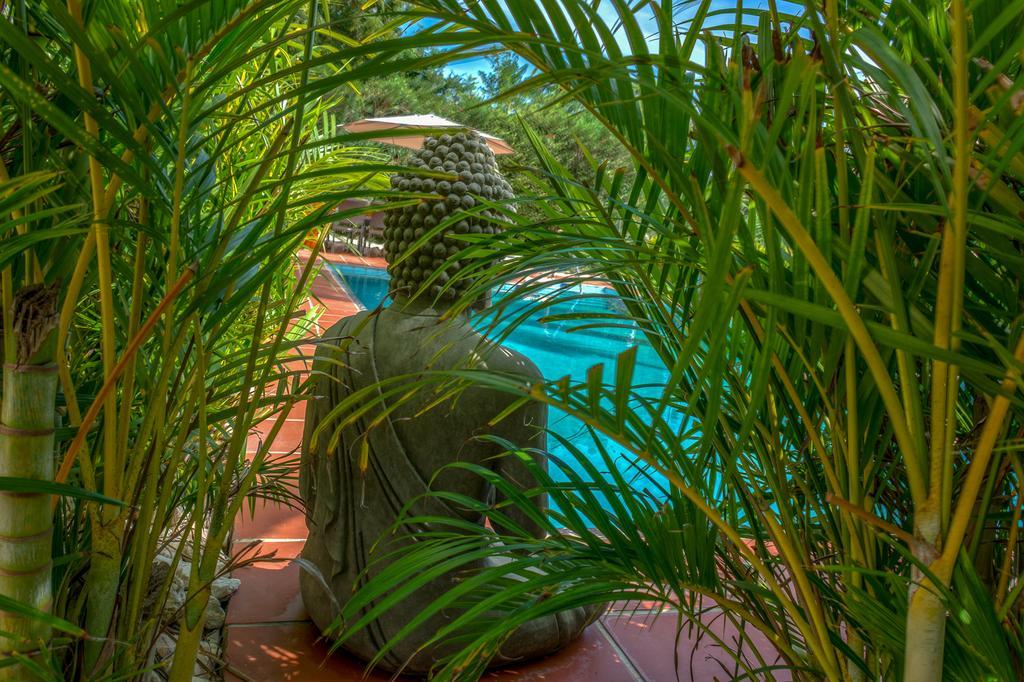 Buddha Garden Adult Only Apartment Willemstad