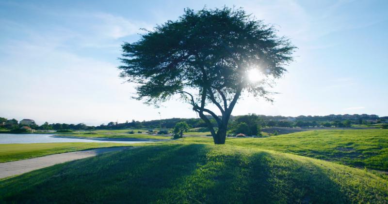 At The Beach, Golf & *