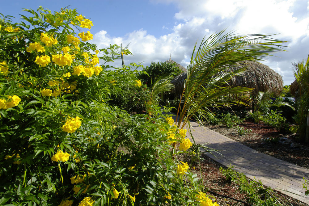 Kura Hulanda & Club Hotel