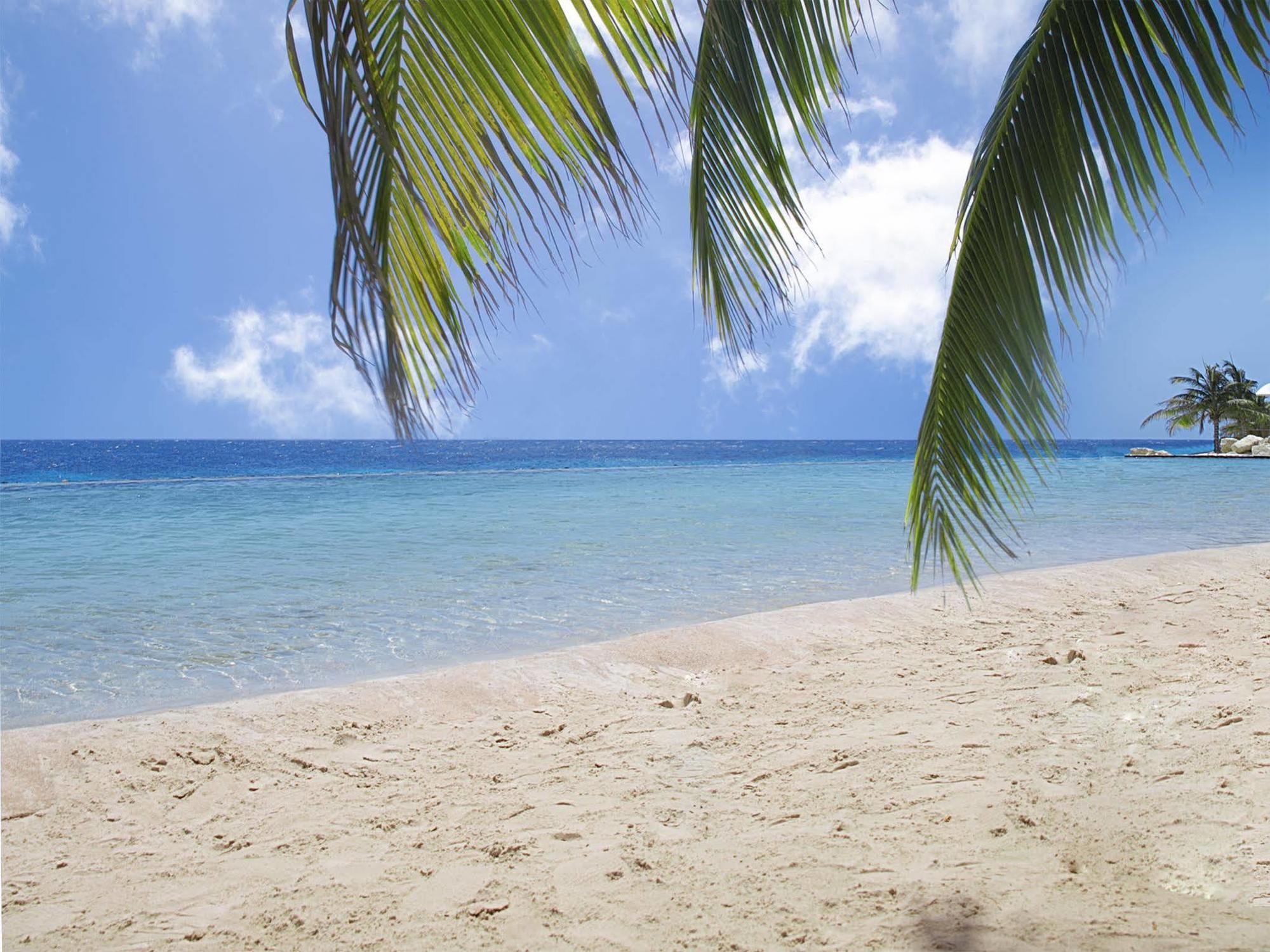 Papagayo (adults Only)