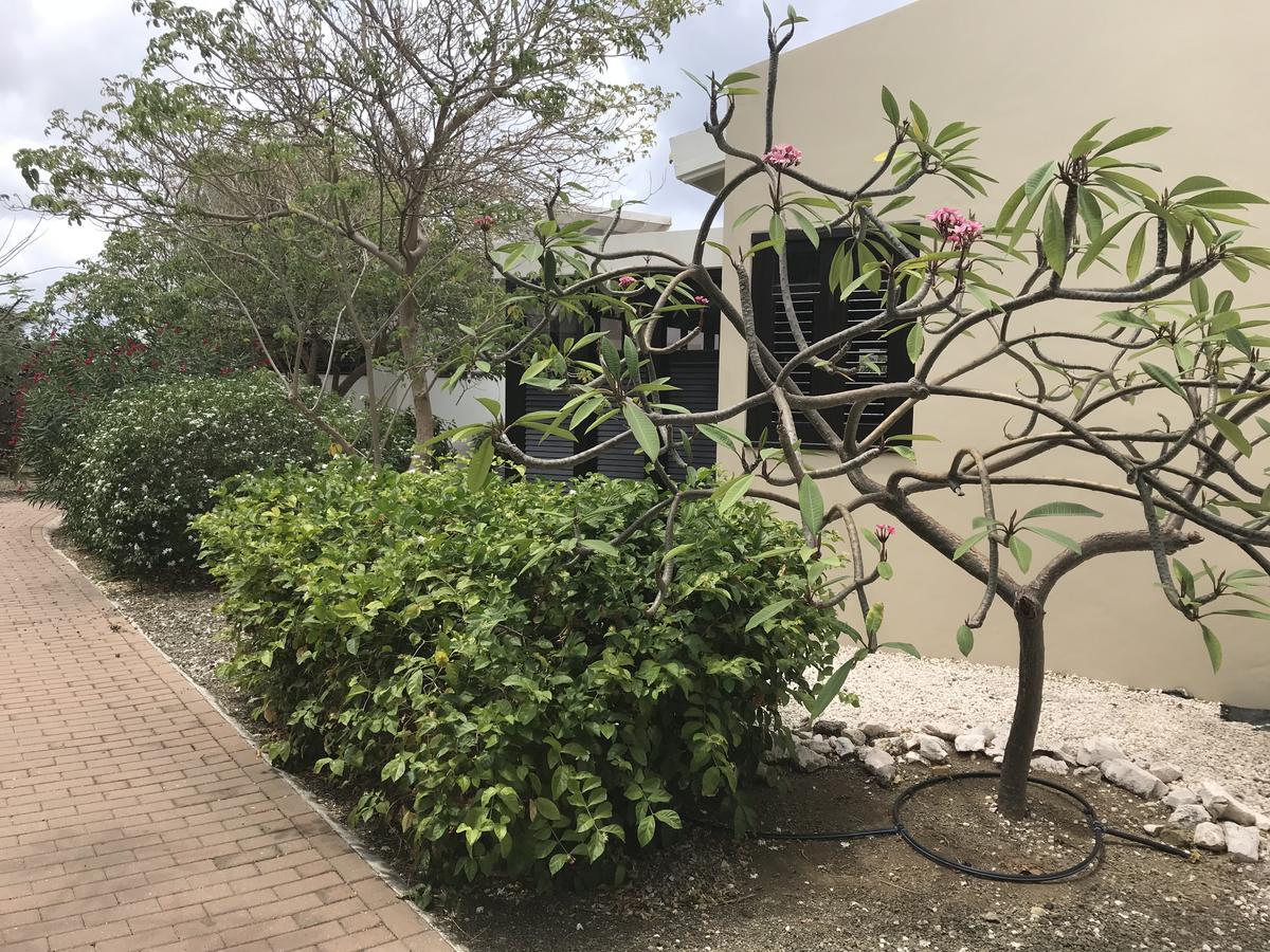 Blue Bay Garden