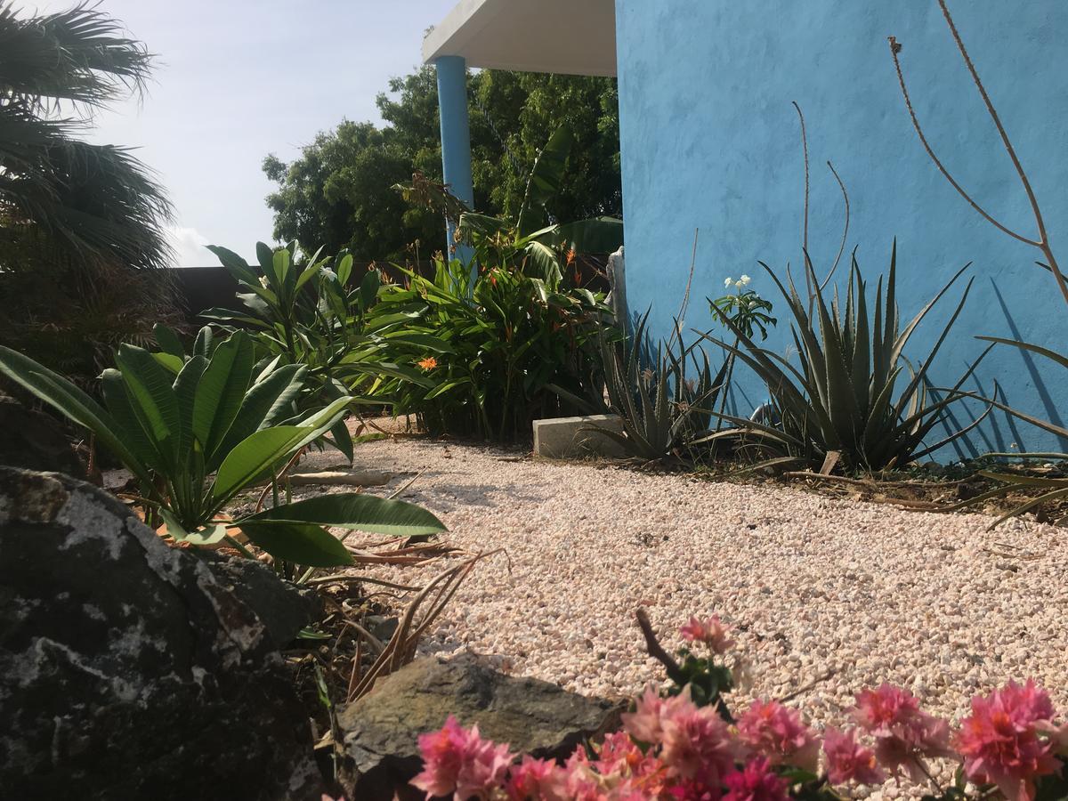 Tropical Breeze Curacao