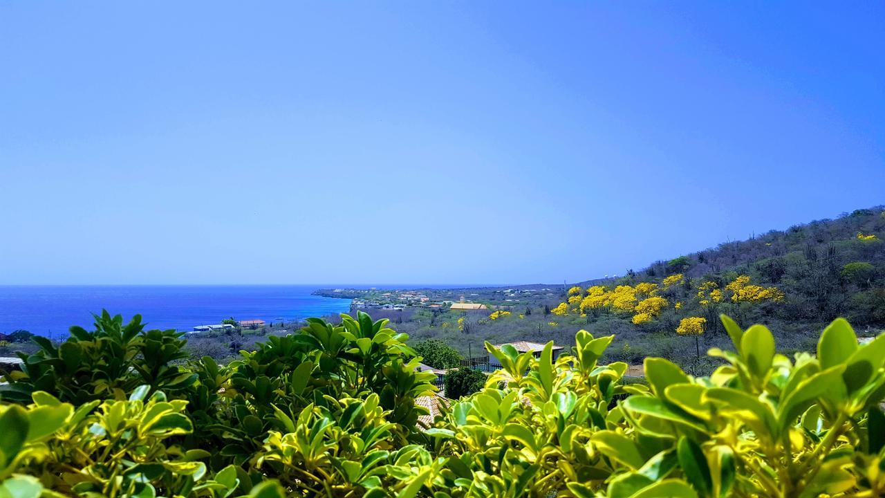 Punta West 3* Westpunt