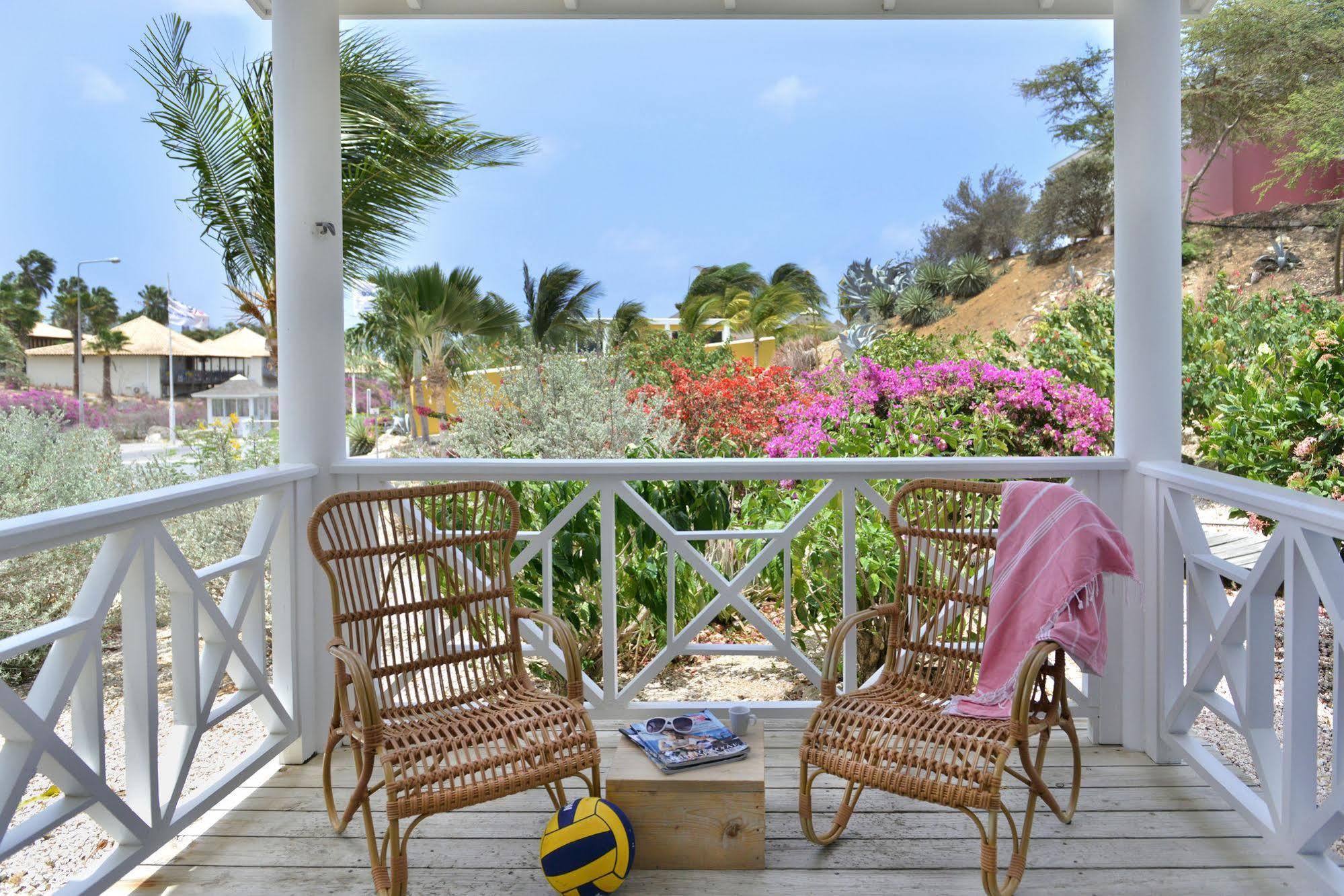 Chogogo Curacao