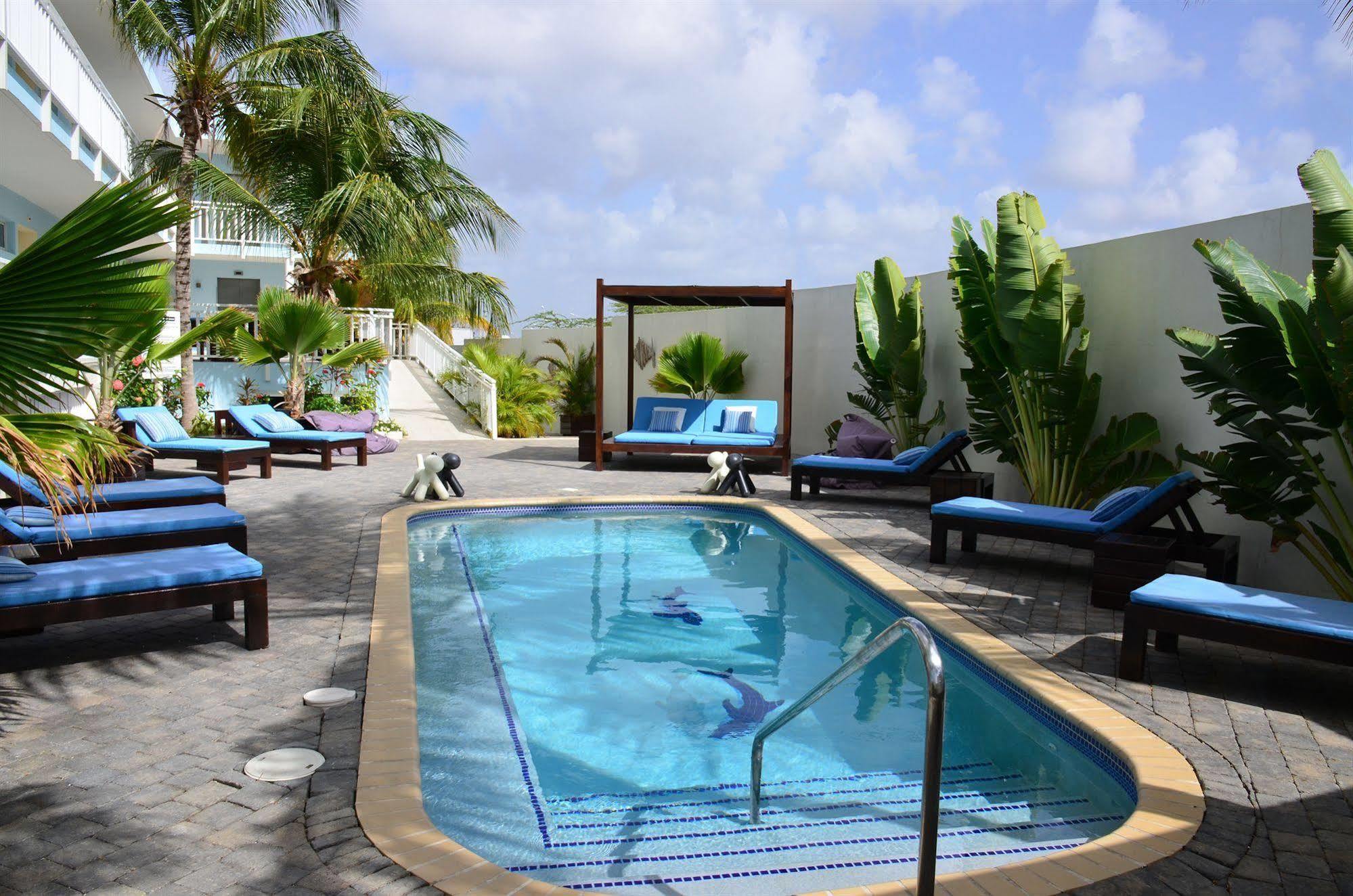 Dolphin & Wellness Curacao 3* Willemstad