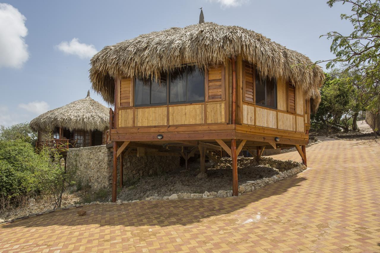 Palapa Cas Abou Alojamento Willibrordus