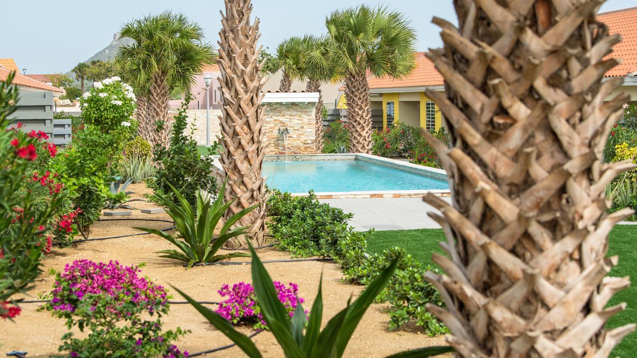 Ultimate Caribbean Experience * Willemstad