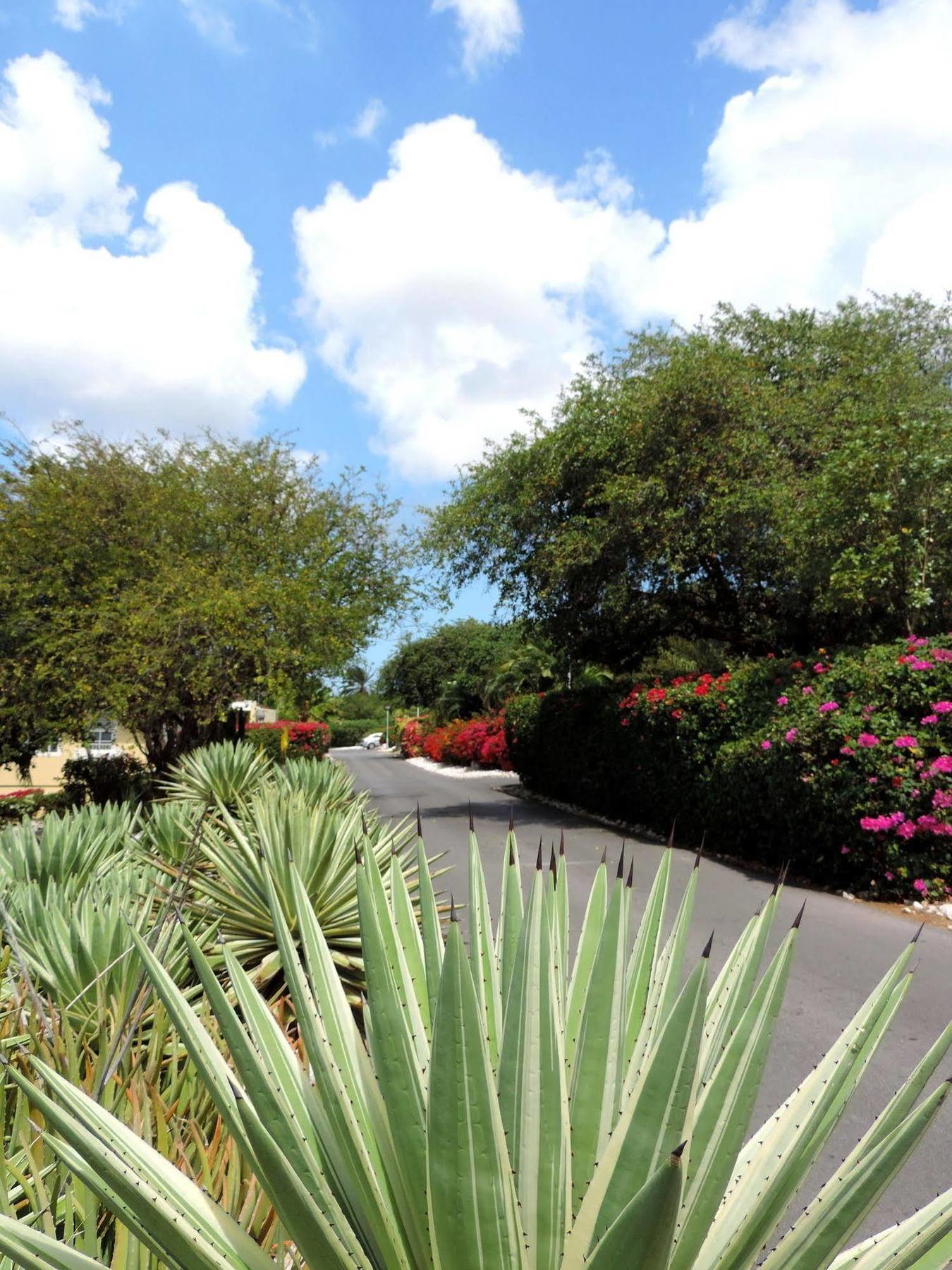 Holiday park Piscadera Bay Willemstad