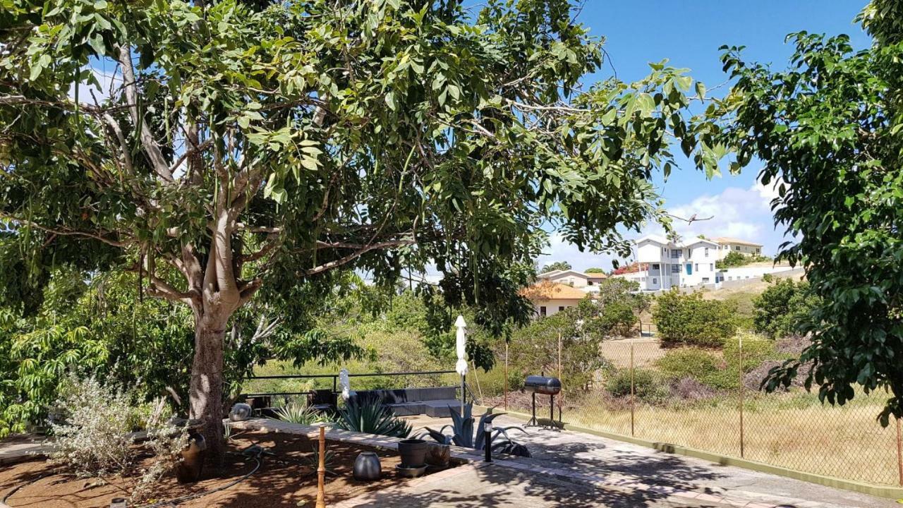 Acomodação com café da manhã  Casa Leona