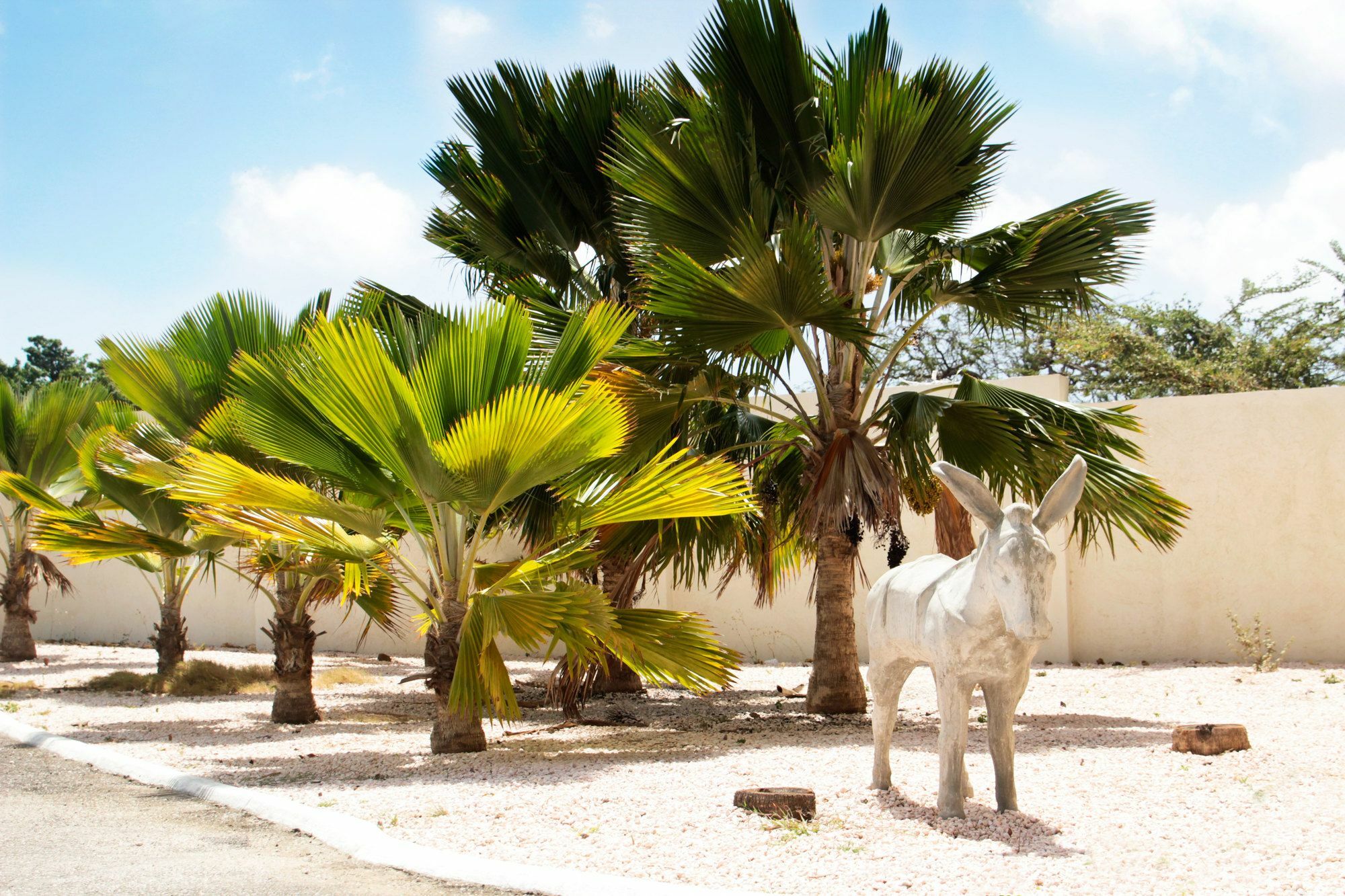 Abc Curacao