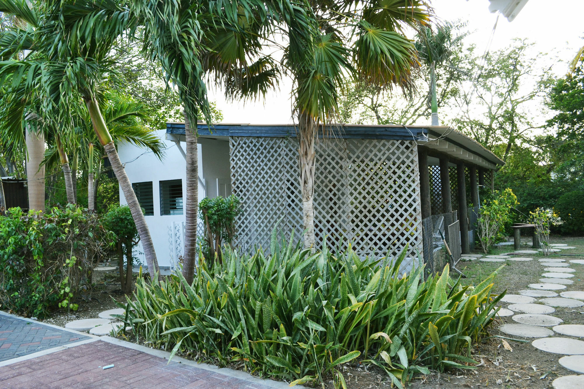 Palm Trees Apartment