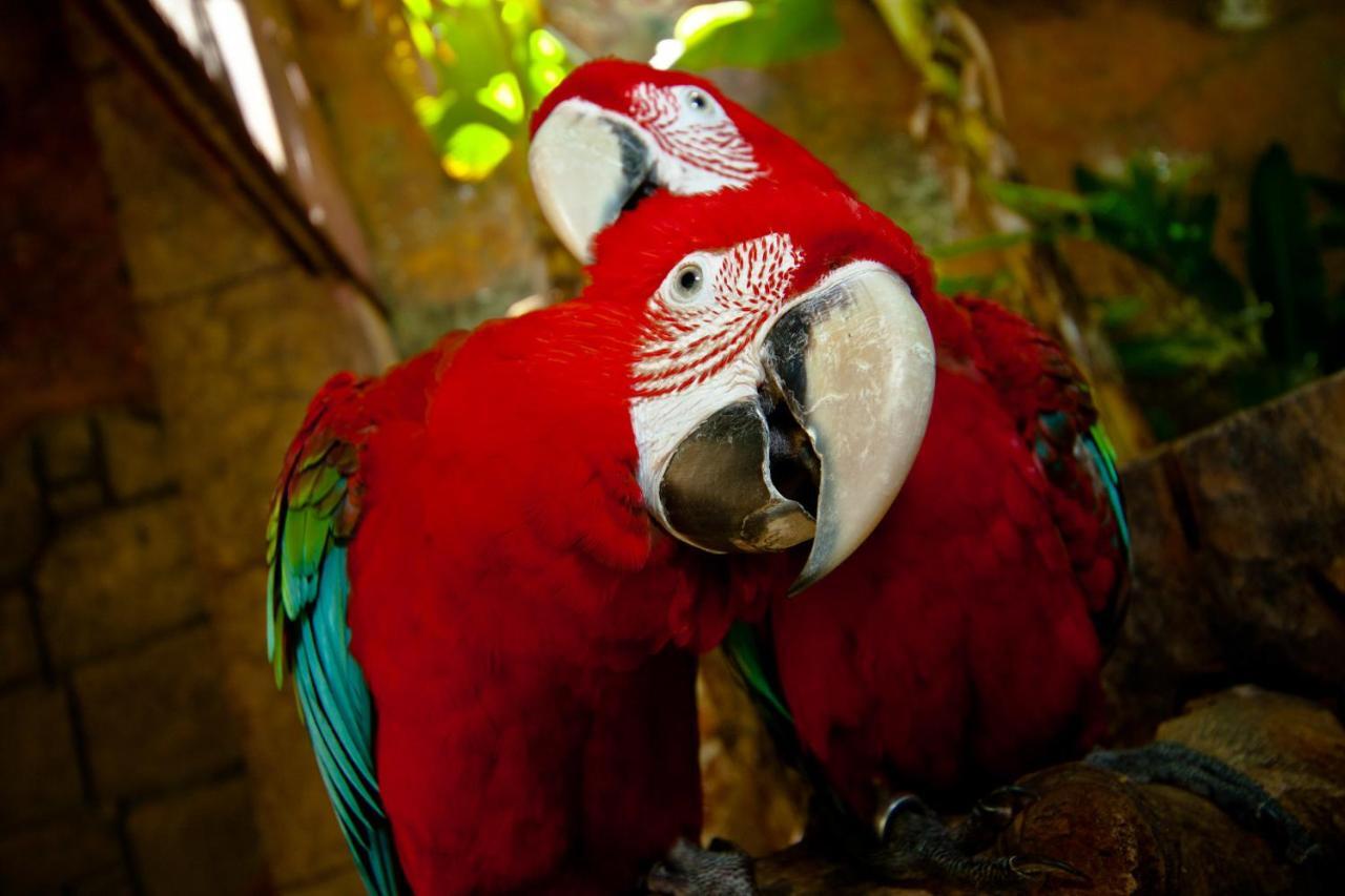 Amazonia Hotel Hotel 3*