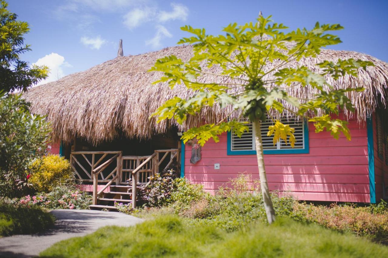 Mondi Lodge Dorp Sint Michiel